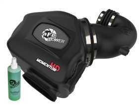 Momentum HD Pro DRY S Air Intake System 51-72001-E